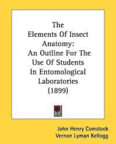The Elements of Insect Anatomy