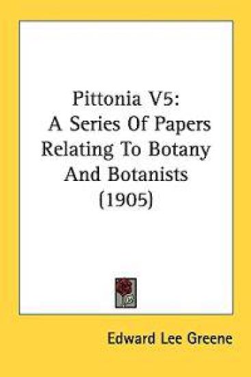 Pittonia