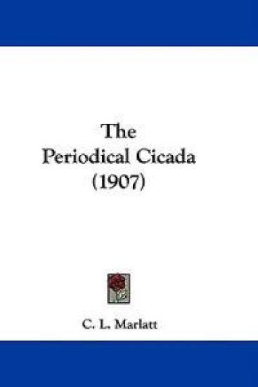 The Periodical Cicada (1907)