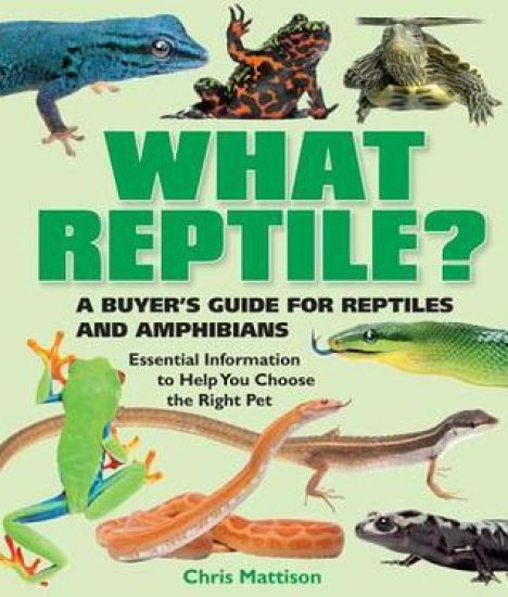 What Reptile?