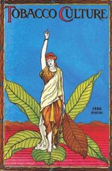 Tobacco Culture - 1906 Reprint