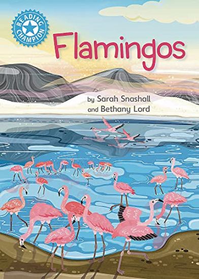 Reading Champion: Flamingos