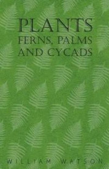 Plants - Ferns, Palms and Cycads