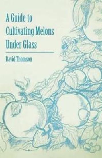 A Guide to Cultivating Melons Under Glass