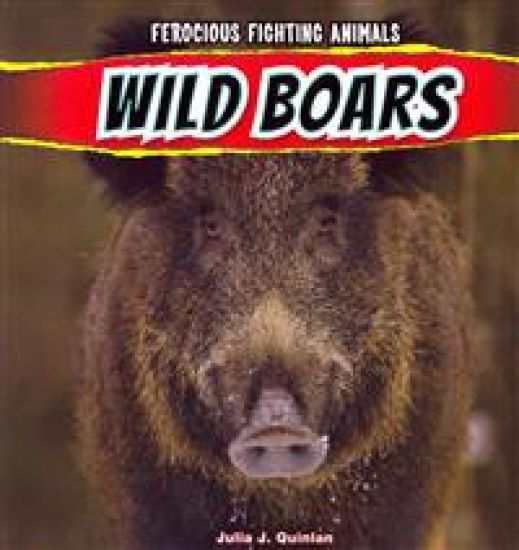 Wild Boars