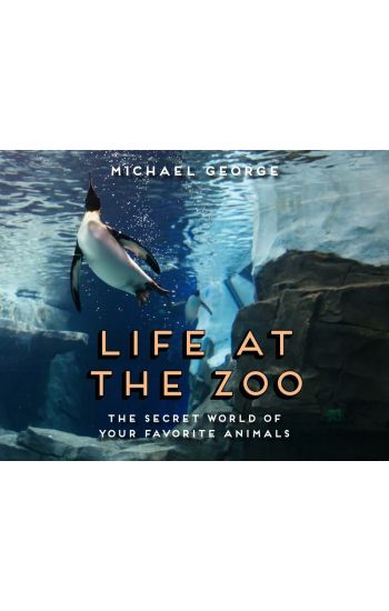 Life at the Zoo