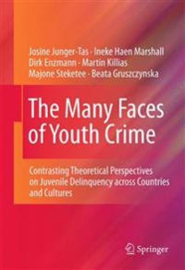 The Many Faces of Youth Crime