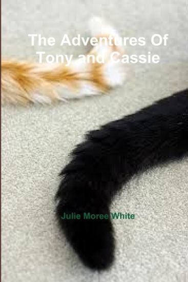 The Adventures Of Tony and Cassie