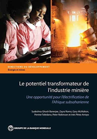 Le Potentiel Transformateur De L'industrie Miniere En Afrique – Sudeshna Ghosh Banerjee, kirjan kansikuva