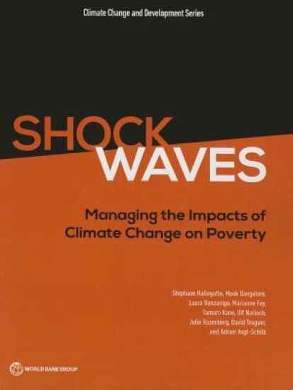Shock Waves