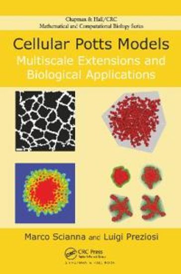 Cellular Potts Models