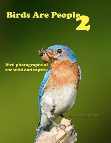 Birds are People 2
