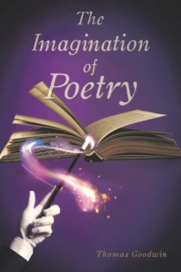 The Imagination of Poetry
