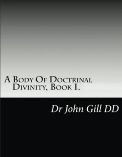 A Body Of Doctrianal Divinity Book 1