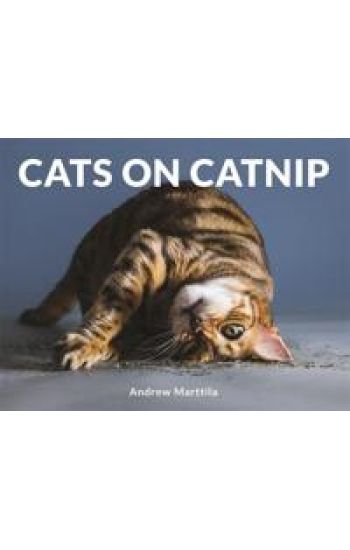 Cats on Catnip