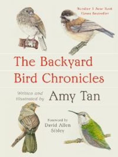 The Backyard Bird Chronicles
