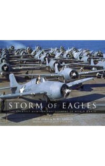 Storm of Eagles