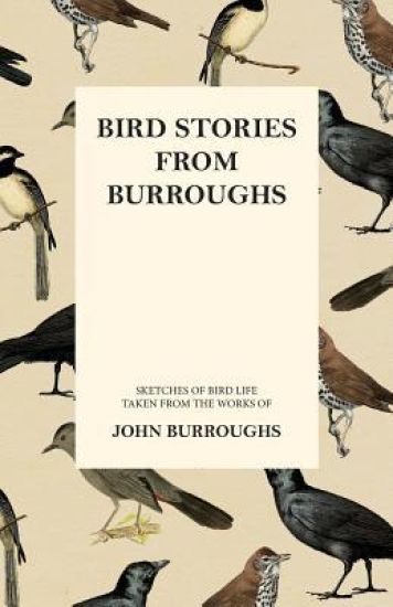 Bird Stories from Burroughs - Sketches of Bird Life Taken from the Works of John Burroughs – John Burroughs, kirjan kansikuva