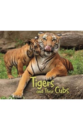 Tigers and Their Cubs