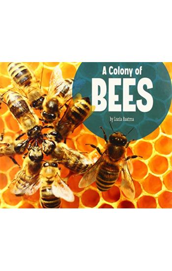 A Colony of Bees