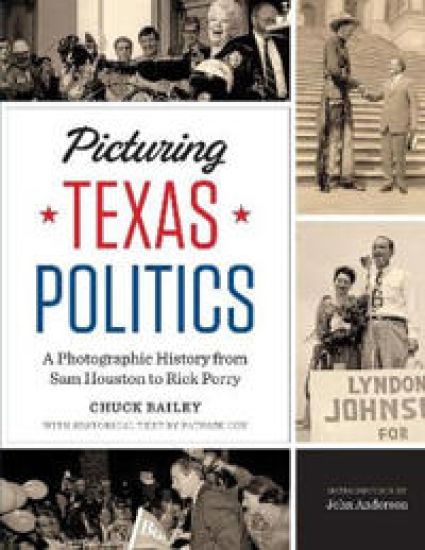 Picturing Texas Politics