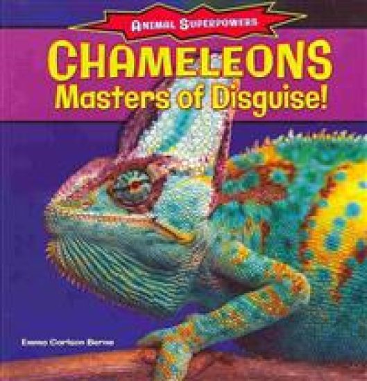 Chameleons: Masters of Disguise!
