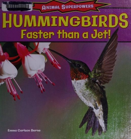 Hummingbirds: Faster Than a Jet!