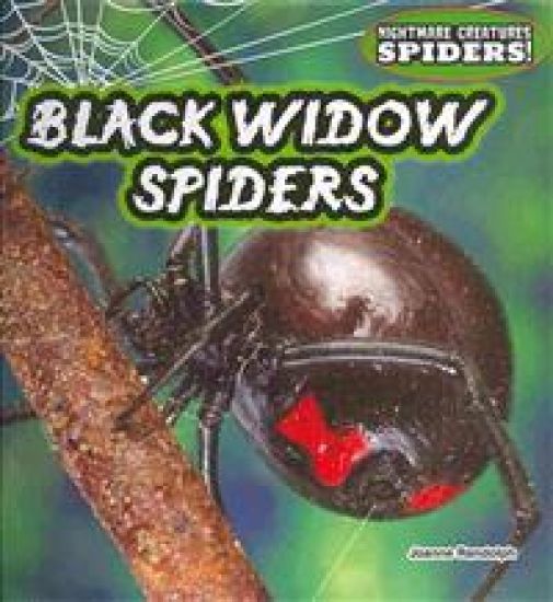 Black Widow Spiders