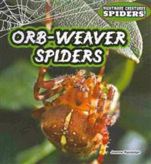 Orb-Weaver Spiders