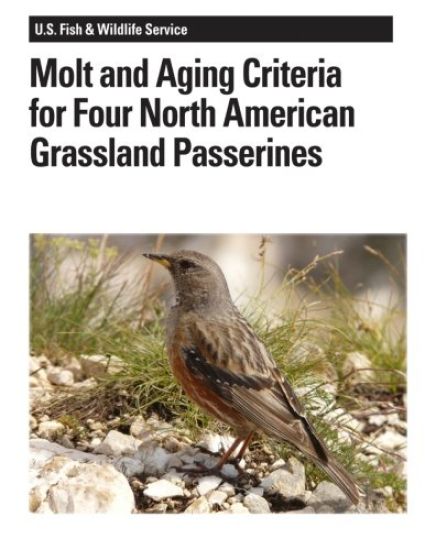 Molt and Aging Criteria for Four North American Grassland Passerines