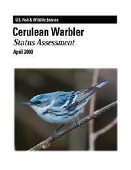 Cerulean Warbler - Status Assessment