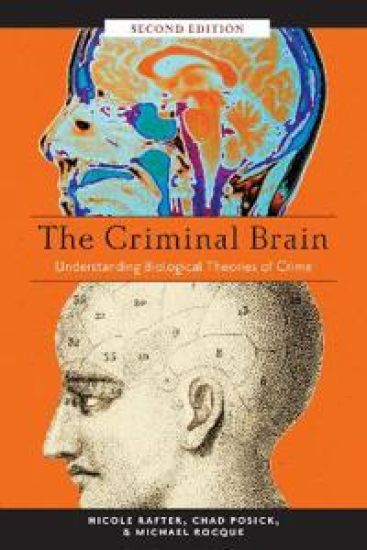 The Criminal Brain