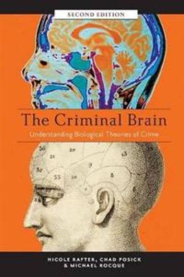 The Criminal Brain