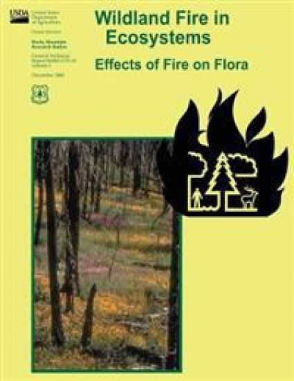 Wildland Fire in Ecosystems: Effects of Fire on Flora