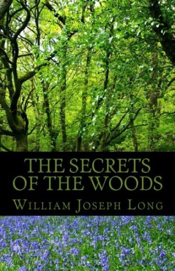 Secrets of the Woods