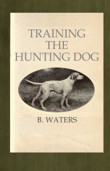 Training the Hunting Dog