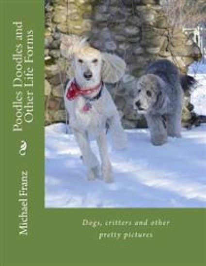 Poodles Doodles & Other Life Forms: Dogs, critters and other pretty pictures