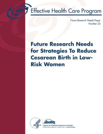 Future Research Needs for Strategies To Reduce Cesarean Birth in Low-Risk Women: Future Research Needs Paper Number 22