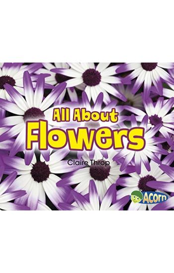 All about Flowers