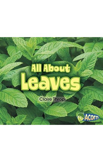 All about Leaves