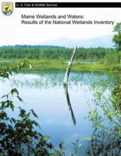 Maine Wetlands and Waters: Results of the National Wetlands Inventory