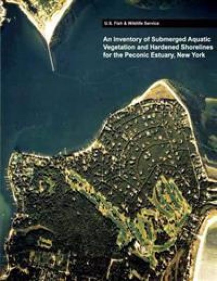 An Inventory of Submerged Aquatic Vegetation and Hardened Shorelines for the Peconic Estuary, New York