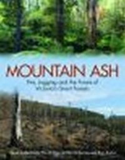 Mountain Ash