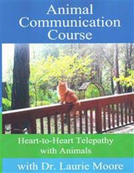 Animal Communication Course: Heart-to-Heart Telepathy with Animals