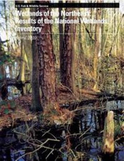 Wetlands of the Northeast: Results of the National Wetlands Inventory