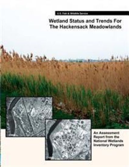 Wetland Status and Trends for the Hackensack Meadowlands: An Assessment Report from the U.S. Fish and Wildlife Service's National Wetlands Inventory P