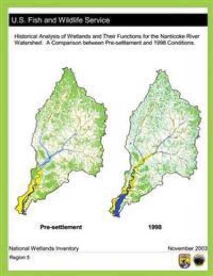 Historical Analysis of Wetlands and Their Functions For the Nanticoke River Watershed: A Comparison between Pre-settlement and 1998 Conditions