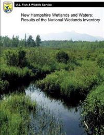 New Hampshire Wetlands and Waters: Results of the National Wetlands Inventory
