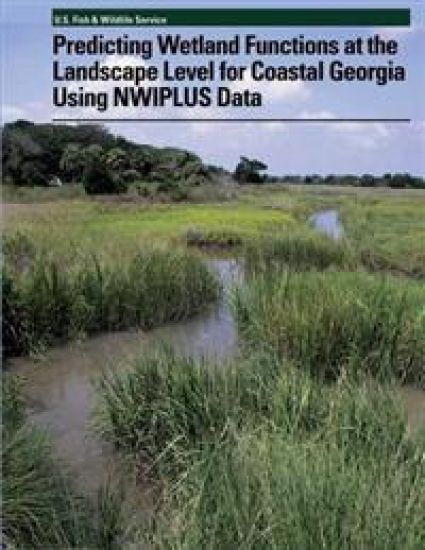 Predicting Wetland Functions at the Landscape Level for Coastal Georgia Using NWIPlus Data