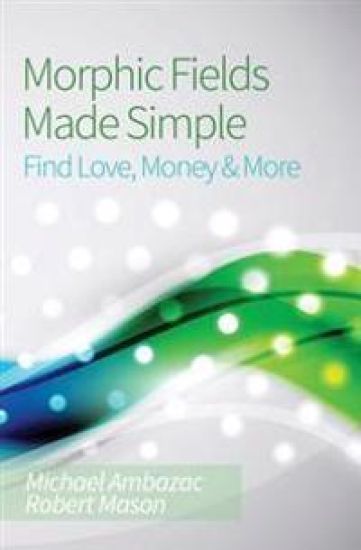 Morphic Fields Made Simple